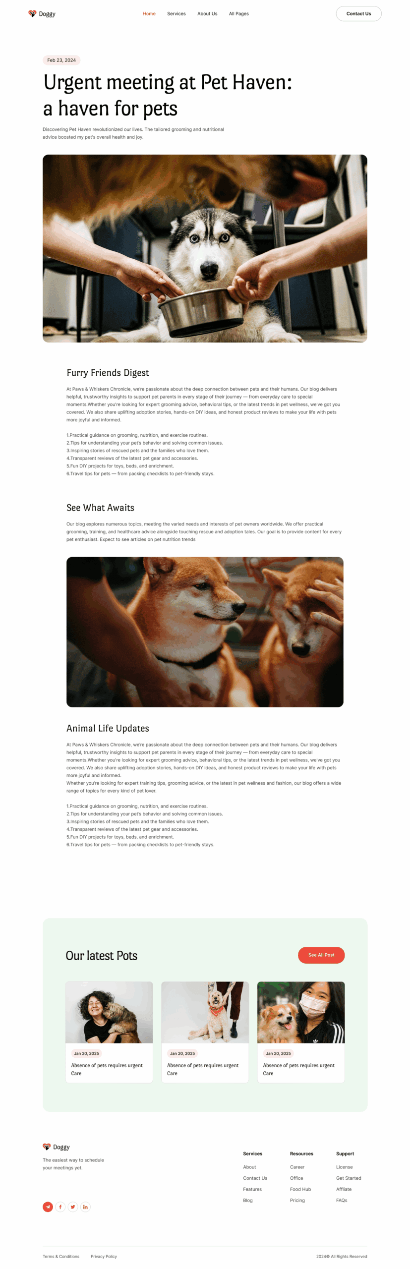 Doogy Blog Single Post