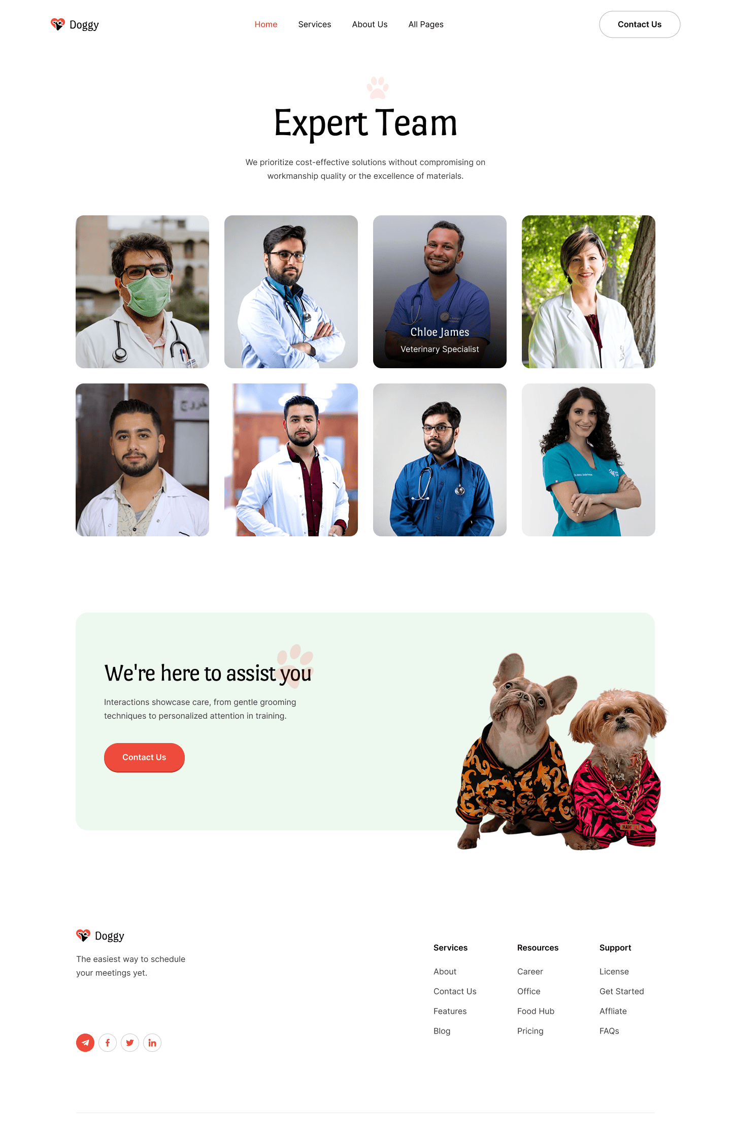 Our Team
