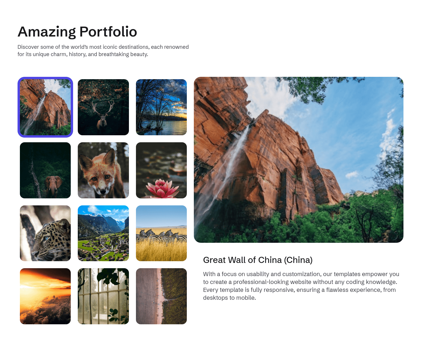 Portfolio-7